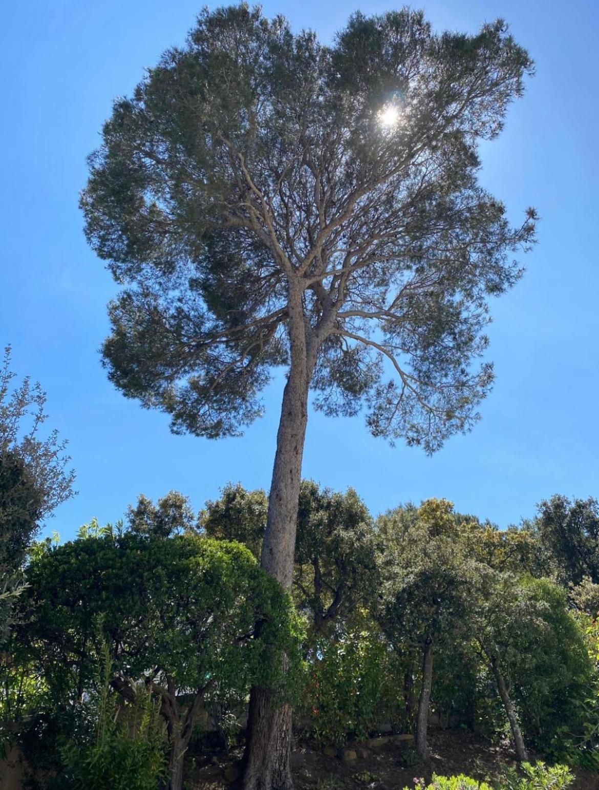 Belle Villa Dans Clos Prive - Saint Raphael Boulouris Bagian luar foto