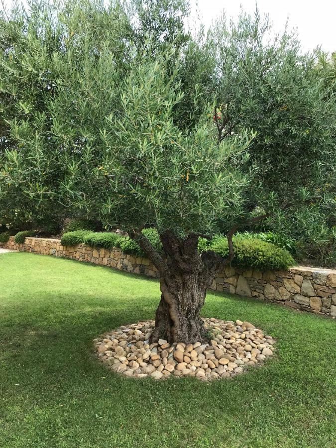 Belle Villa Dans Clos Prive - Saint Raphael Boulouris Bagian luar foto