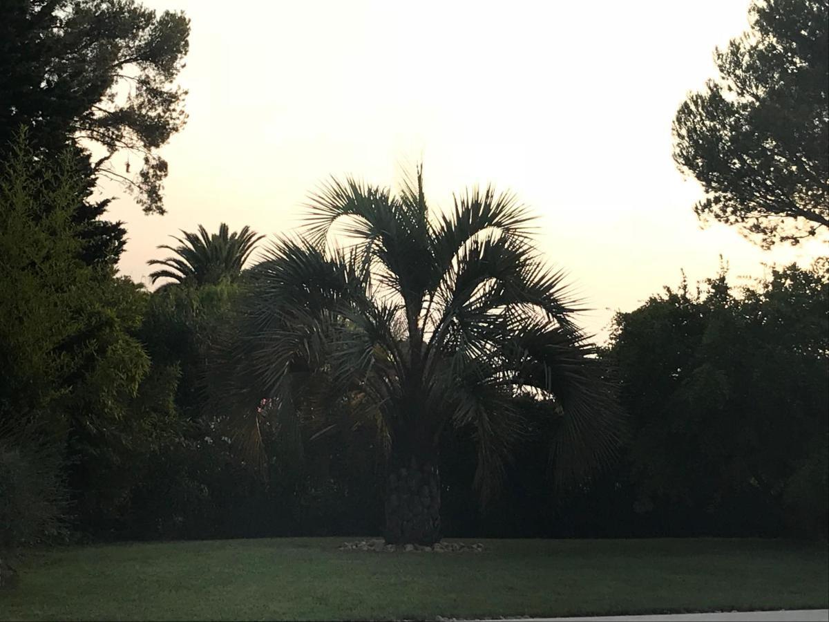 Belle Villa Dans Clos Prive - Saint Raphael Boulouris Bagian luar foto